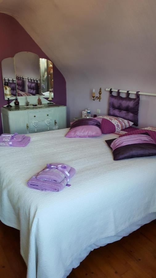 Bed and Breakfast Au Berceau Du Loup Agile Offendorf Exterior foto